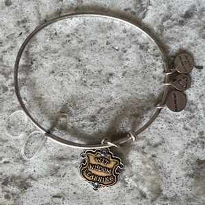 Alex and Ani Ravenclaw bracelet